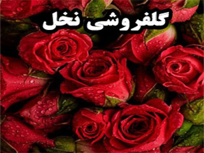 گلفروشی نخل در زنجان