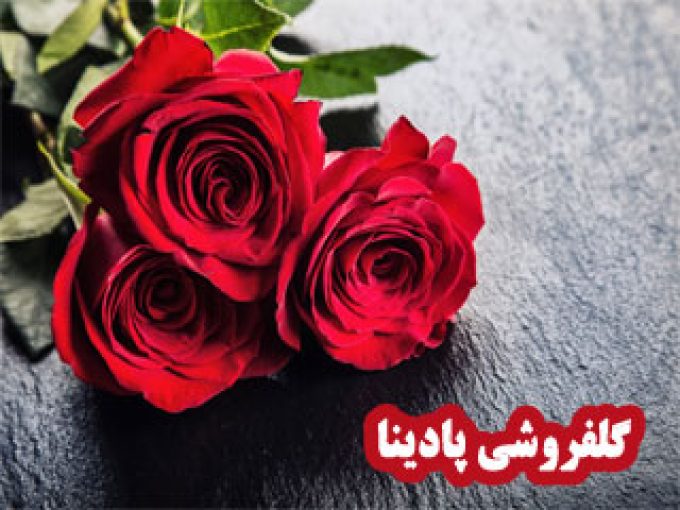 گلفروشی پادینا در زنجان