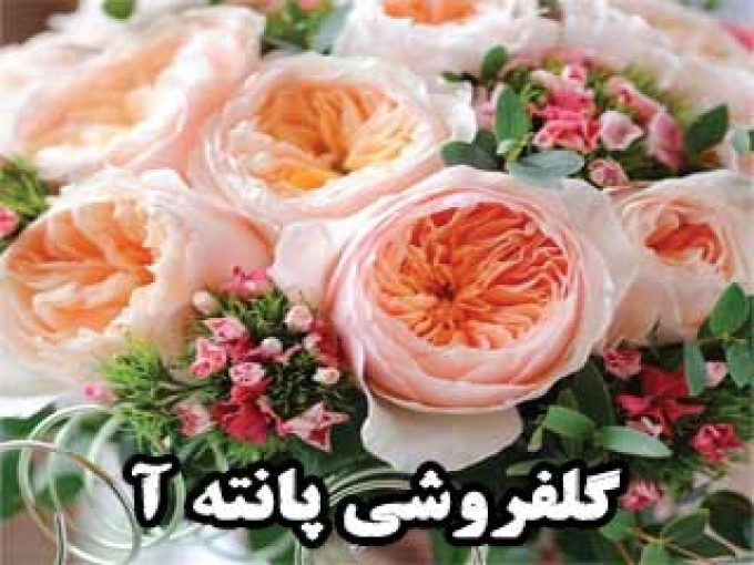 گلفروشی پانته آ در زنجان