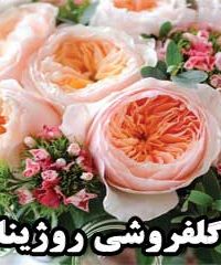 گلفروشی روژینا در زنجان