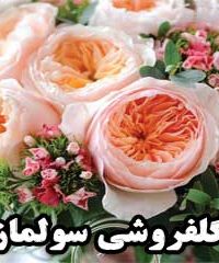 گلفروشی سولماز در زنجان