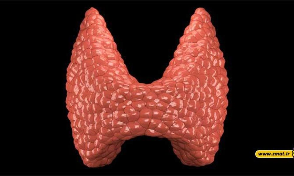 تیروئید و دانسنتنی های مهم در مورد آن