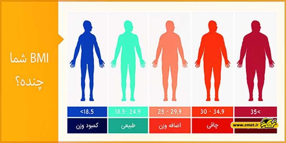 چاق هستید یا لاغر؟ خودتان محاسبه کنید!