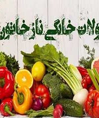 محصولات خانگی نازخاتون در فومن