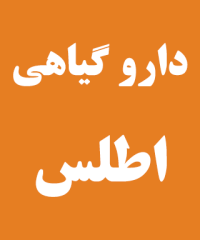 دارو گیاهی اطلس در رشت