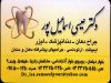 مطب دندانپزشکی دکتر عیسی اسماعیل پور در رشت