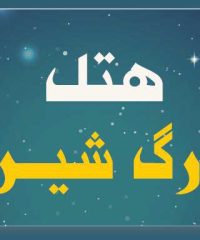 هتل بزرگ شیراز در شیراز