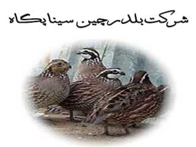 شرکت سینا پگاه در همدان