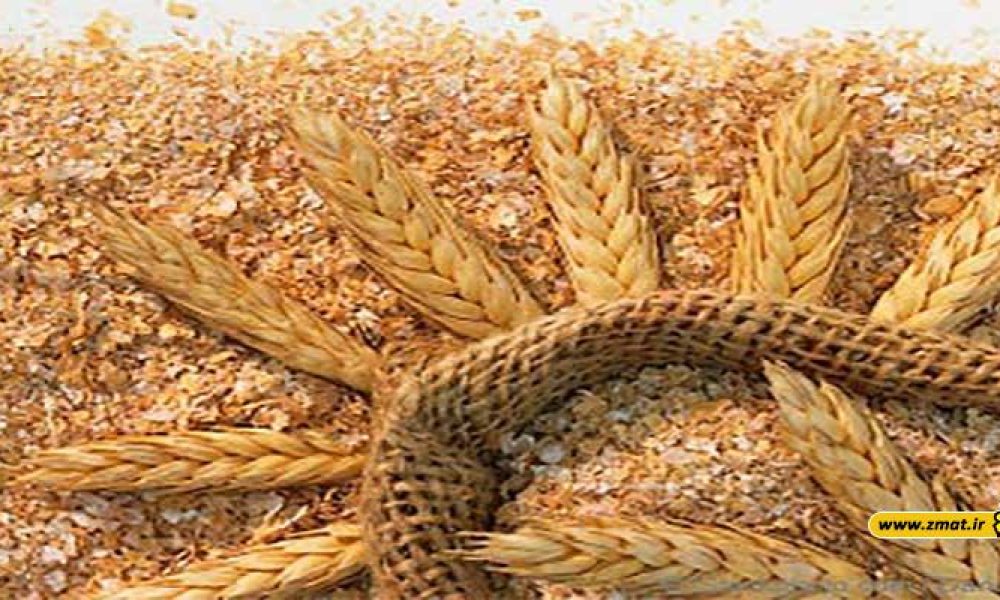 آشنایی با خواص و زیان های سبوس