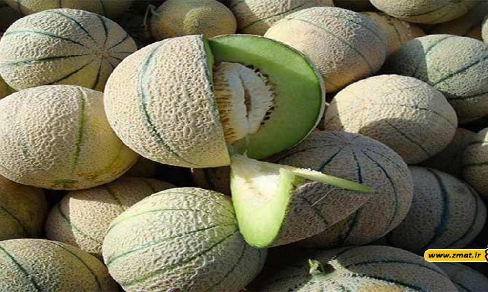 ارزش تغذیه ای طالبی