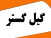 گیل گستر در رشت