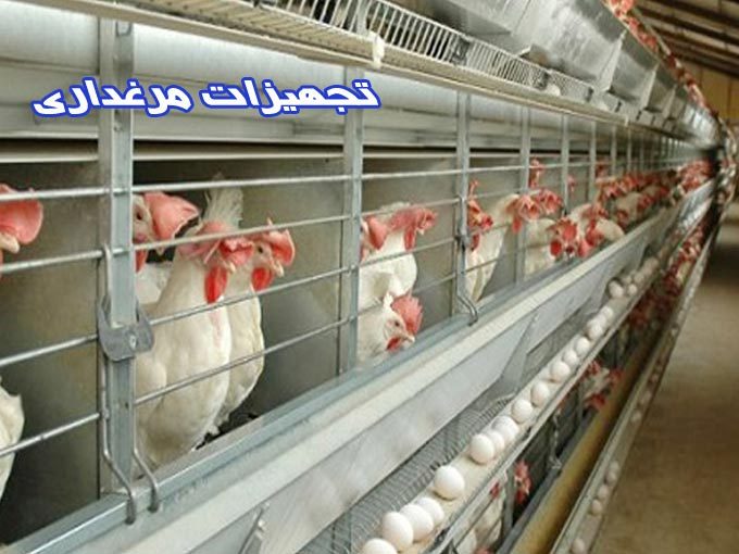 ساخت پخش فروش تجهیزات مرغداری قفس مرغ گوشتی و تخمگذار در قزوین ابگرم
