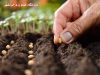 فروشگاه کشاورزی احسان خرمشهر
