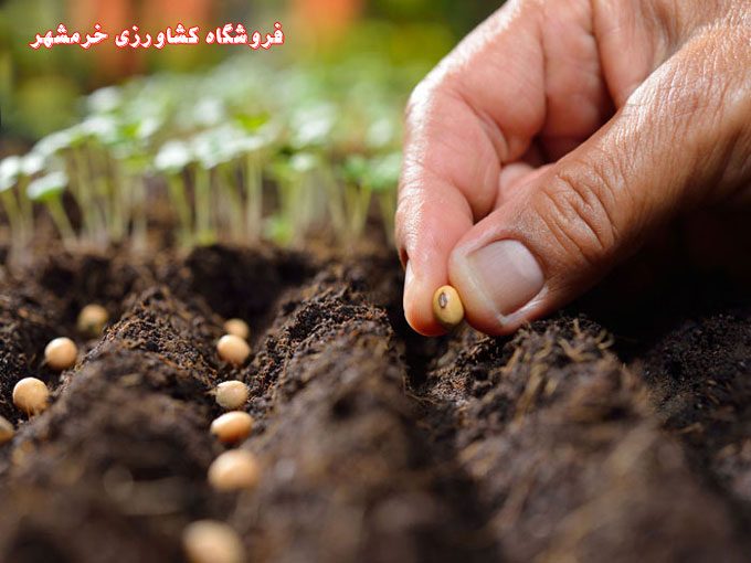 فروشگاه کشاورزی احسان خرمشهر