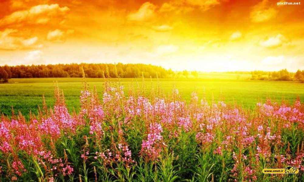 تابستان و مسائل مربوط به آن