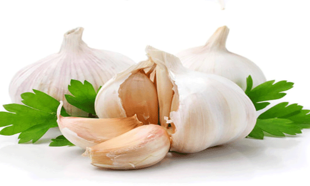 تصفیه خون با سیر