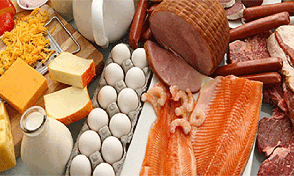 مواد غذایی آسان هضم با میزان پروتئین بالا