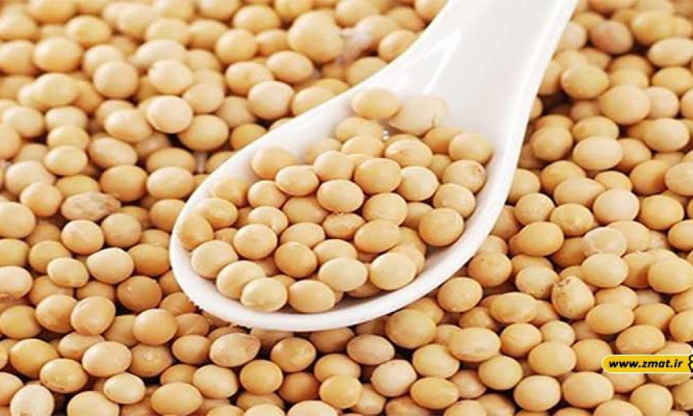 از خواص سویا چه می دانید؟